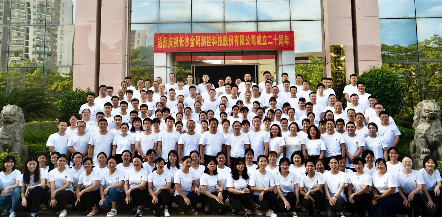 our team